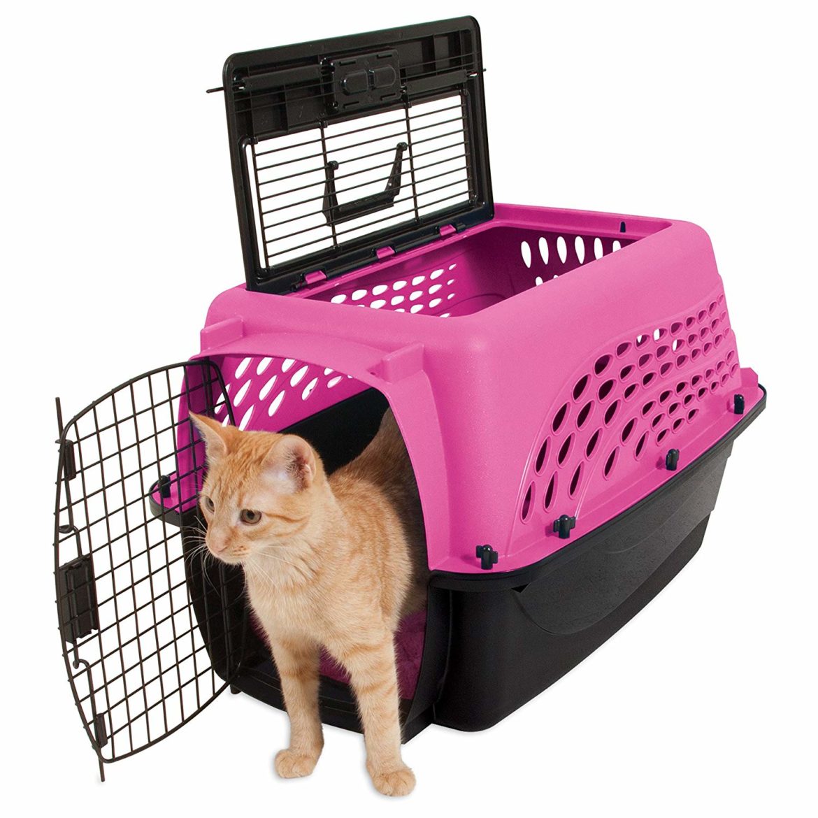 breezy cat carrier