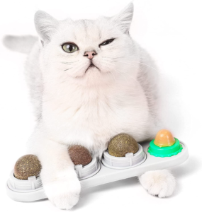 2021 Pet Gift Guide Cat Wall Ball