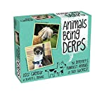 2021 Pet Gift Guide Animal Derps Calendar