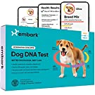 2021 Pet Gift Guide Embark DNA kit