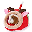 2021 Pet Gift Guide Reindeer Hidey Hut