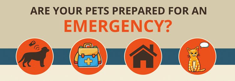 EASY DISASTER PREP GUIDE FOR YOU AND YOUR PET