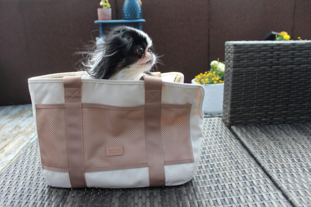 "Zed's" riding in style!!