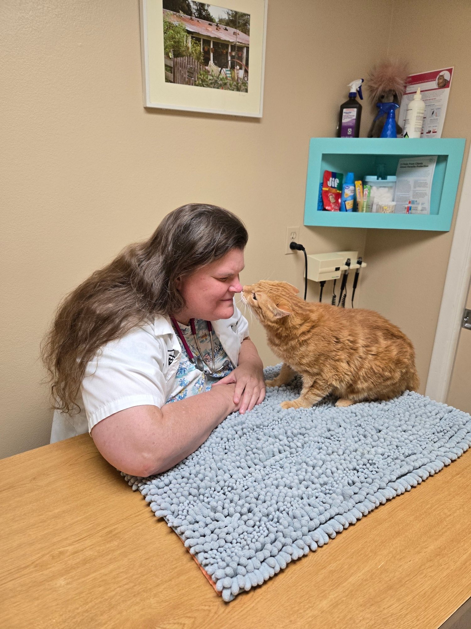 Dr. Robin Moore with an orange tabby cat at her vet practice